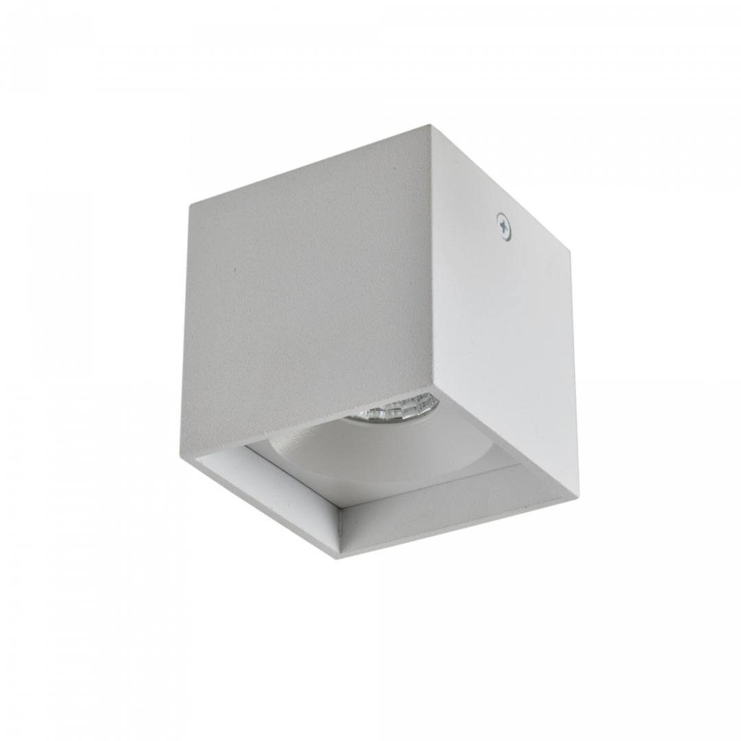 Накладний світильник ESL CS248446 купити