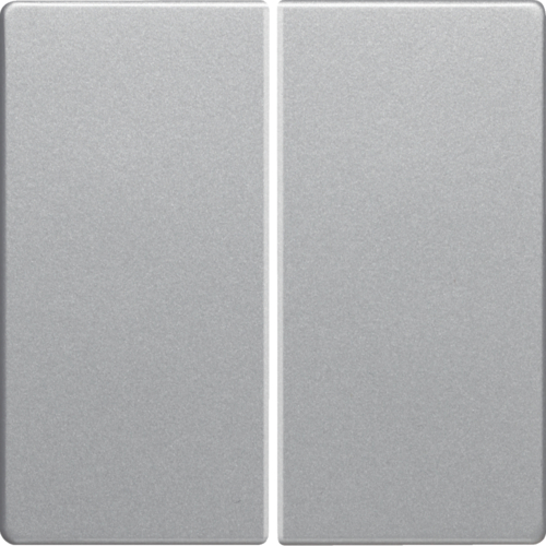 Клавіша 2Х, алюміній, Q.x 16236084 купити