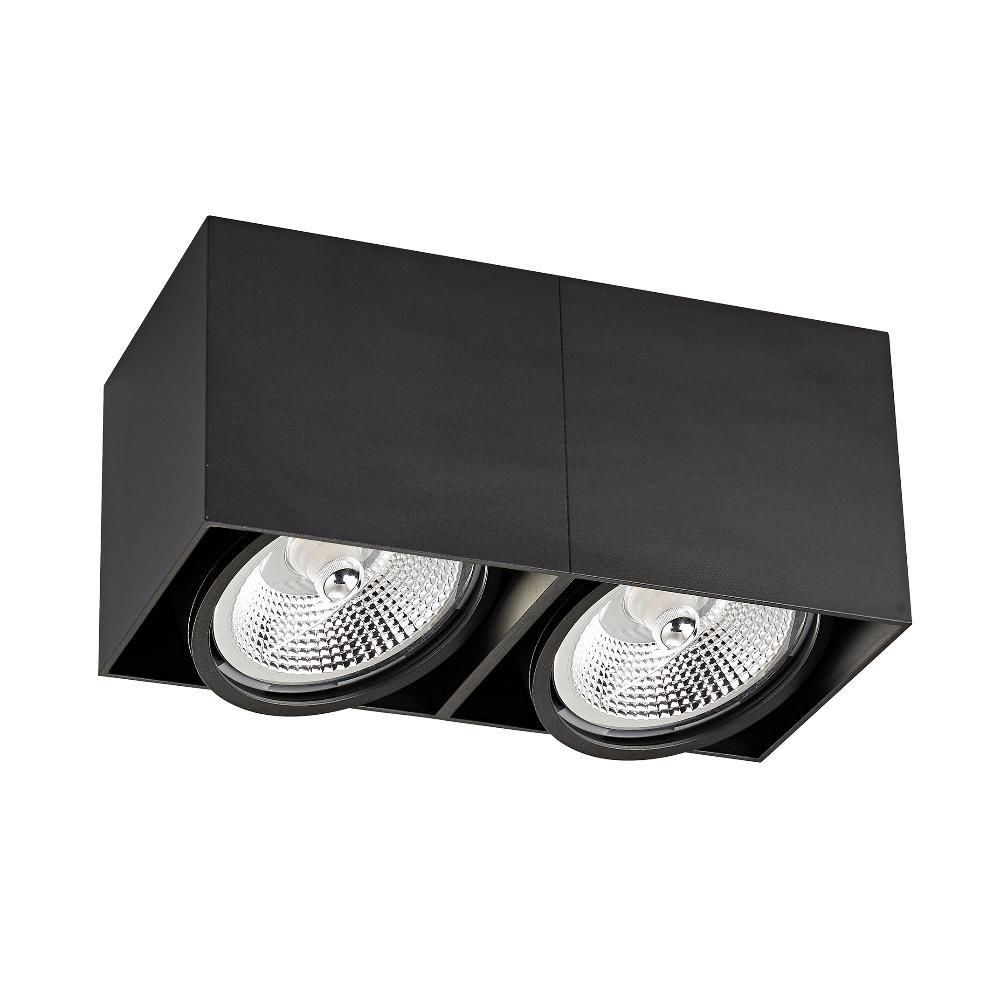 Точковий світильник Zuma Line ACGU10-117 BOX 2 купити