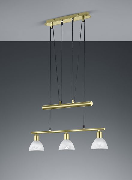 Подвесной светильник TRIO 371010308 LEVISTO купити