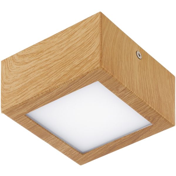 Світильник точковий Eglo 95195 Colegio купити