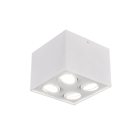 Точковий світильник TRIO 613000431 BISCUIT купити