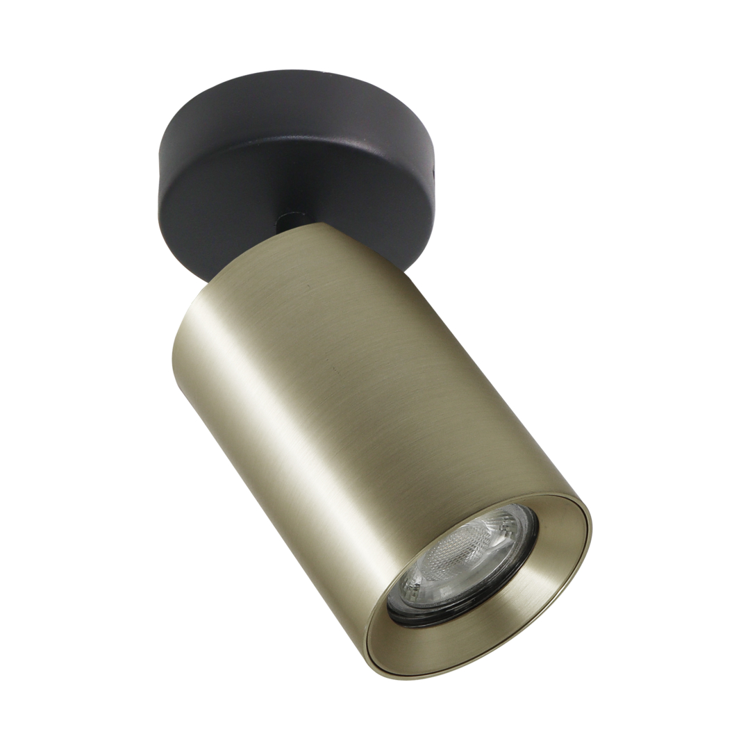 Точковий світильник Zuma Line TLS006-GLD TORE купити