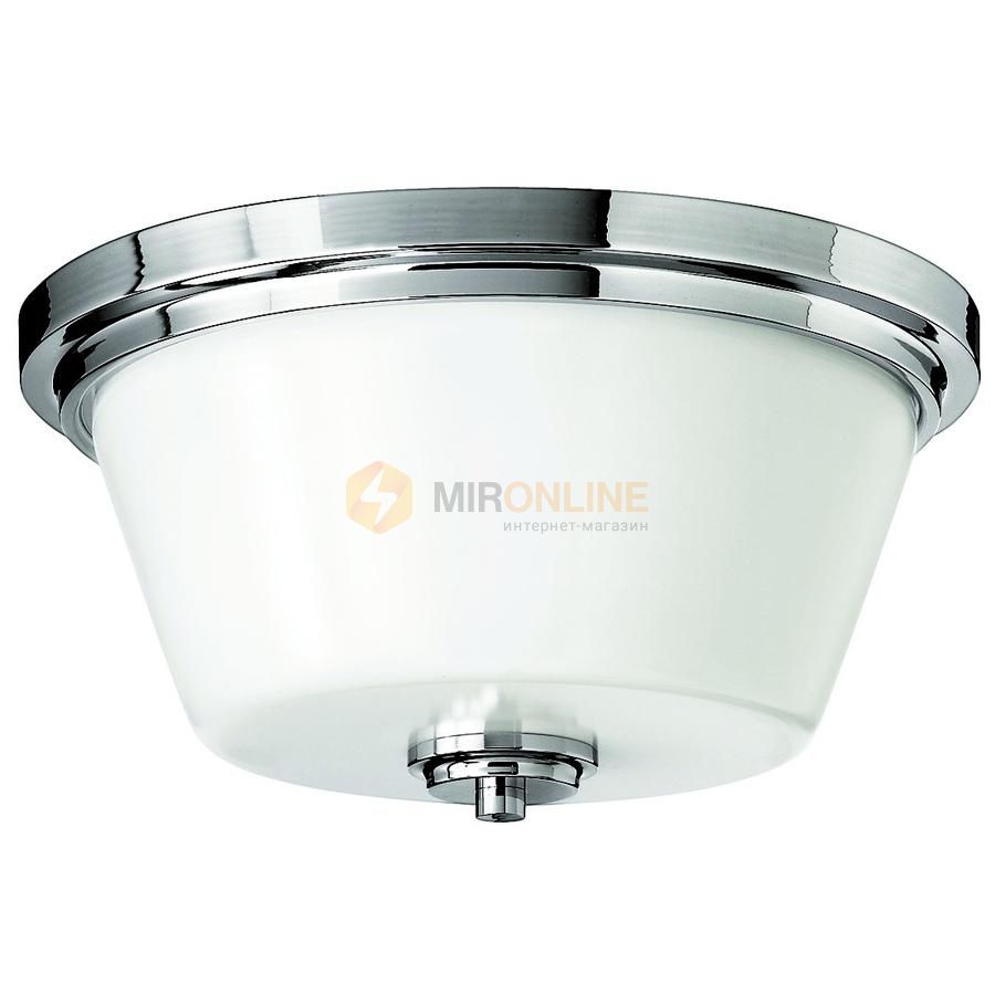 Потолочный светильник Hinkley HK/AVON/F BATH AVON купити