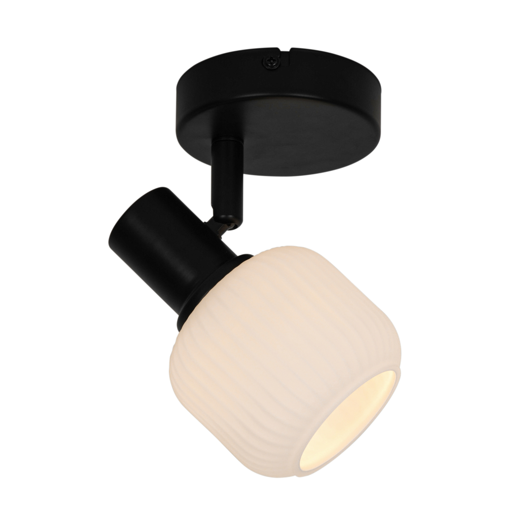 Спот Zuma Line R5021009A-1R STEM купити