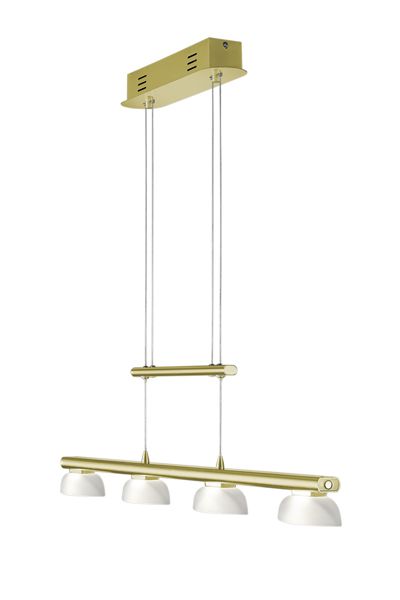 Подвесной светильник TRIO 324390408 SENATOR купити