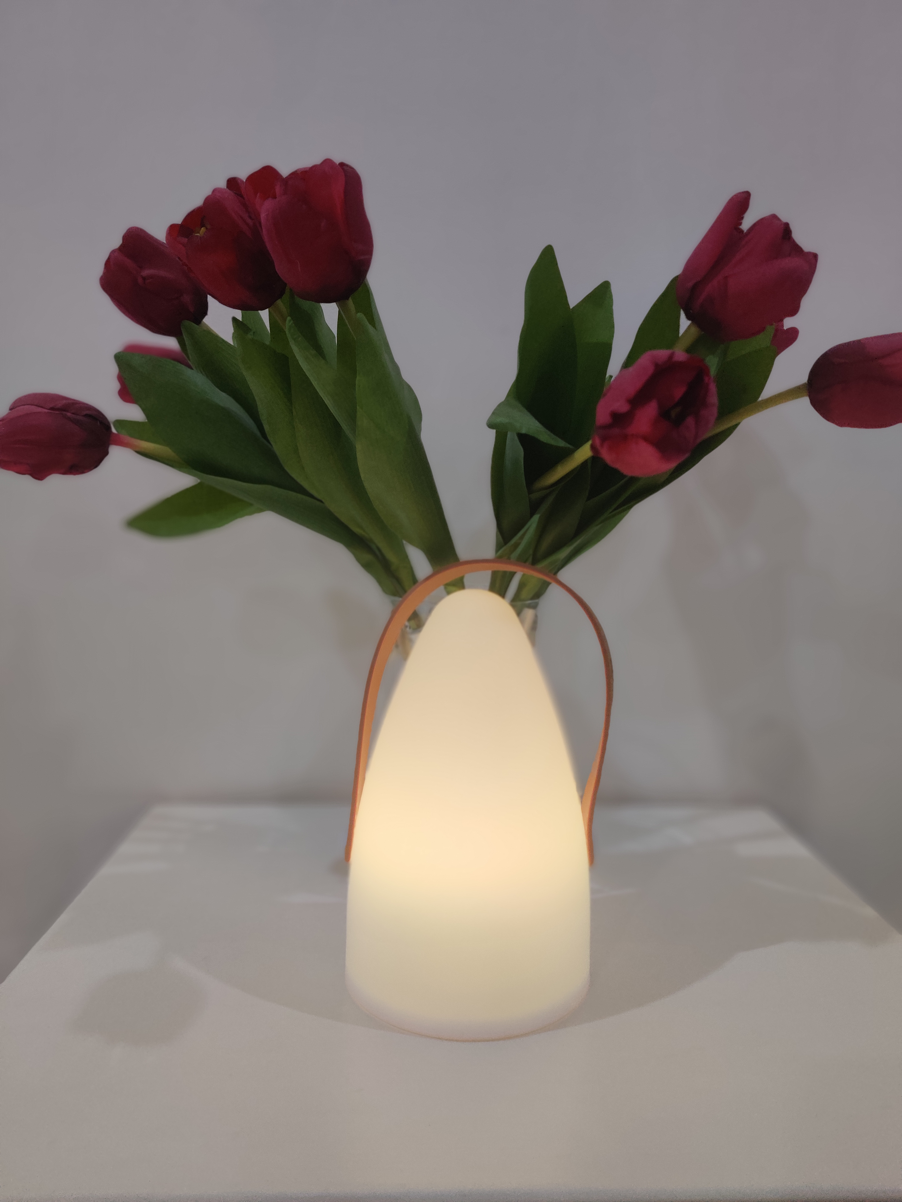 Настільна лампа на акумуляторі REALITY R57090101 HAITI купити