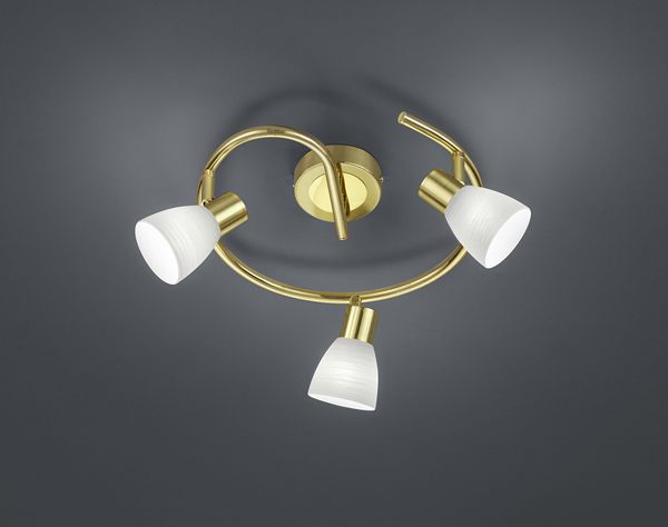 Спот TRIO 871590308 CARICO купити