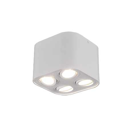 Точковий світильник TRIO 612900431 COOKIE купити