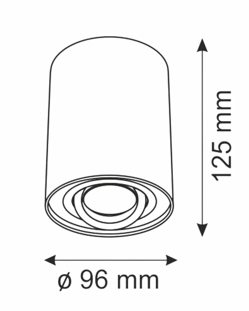 Точковий світильник Goldlux 313102 Hadar R1 GU10 10W IP20 купити