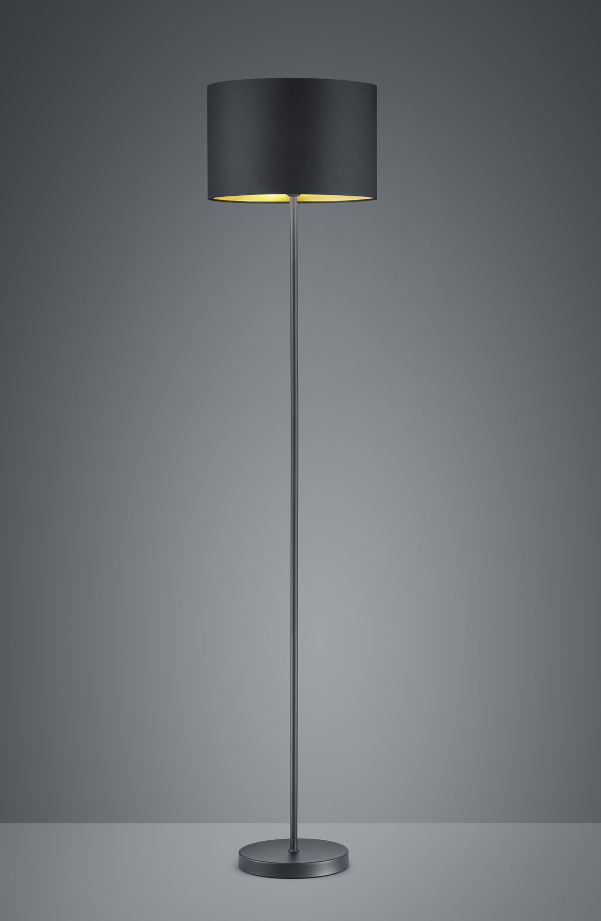 Торшер TRIO 408200179 HOSTEL купити