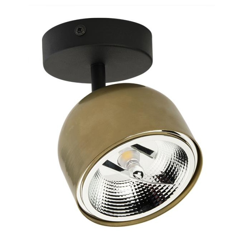 Спот TK LIGHTING 3424 ALTEA купити