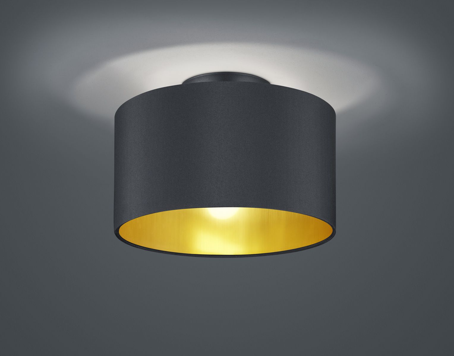 Потолочный светильник TRIO 608200279 HOSTEL купити