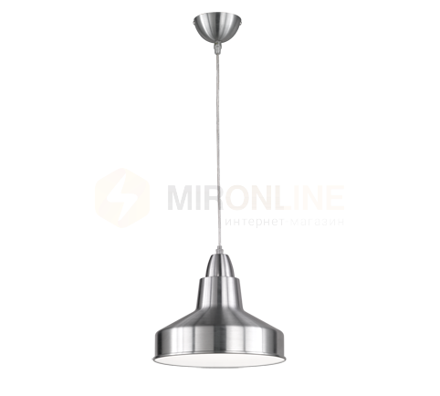 Подвесной светильник REALITY R30201007 BUDDY купити