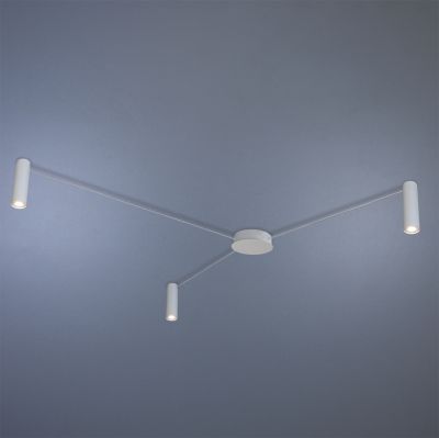 Светильник потолочный ImperiumLight Accent 370320.01.01 купити