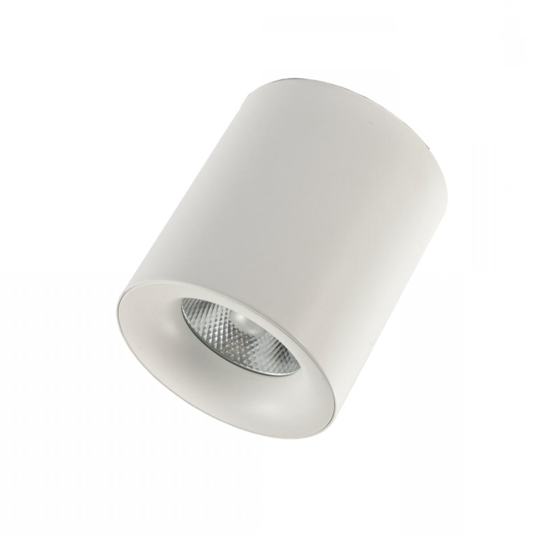 Накладний світильник ESL CS248449 купити