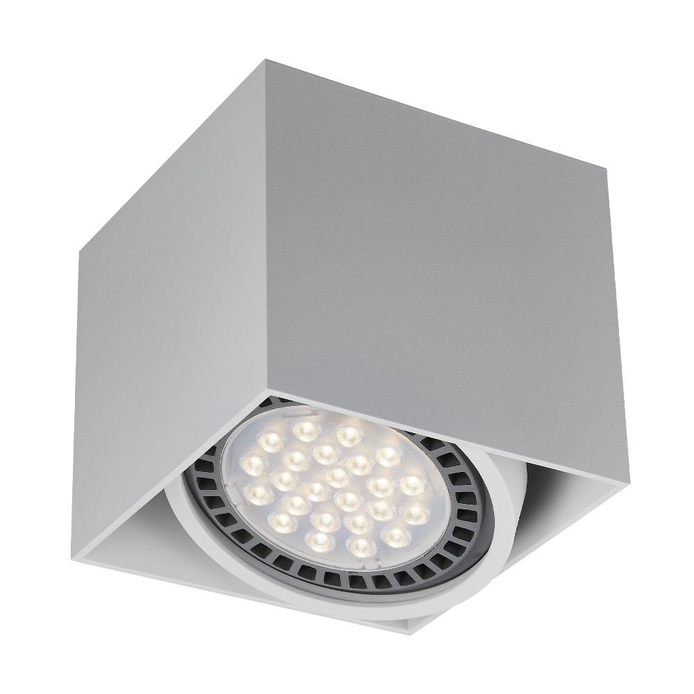 Точковий світильник Zuma Line ACGU10-114 BOX 1 купити