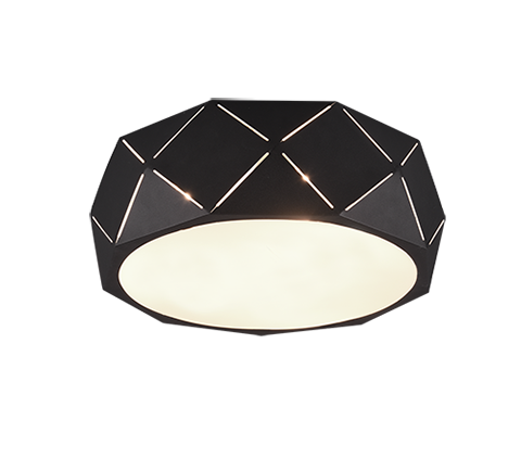 Потолочный светильник TRIO 603500332 ZANDOR купити