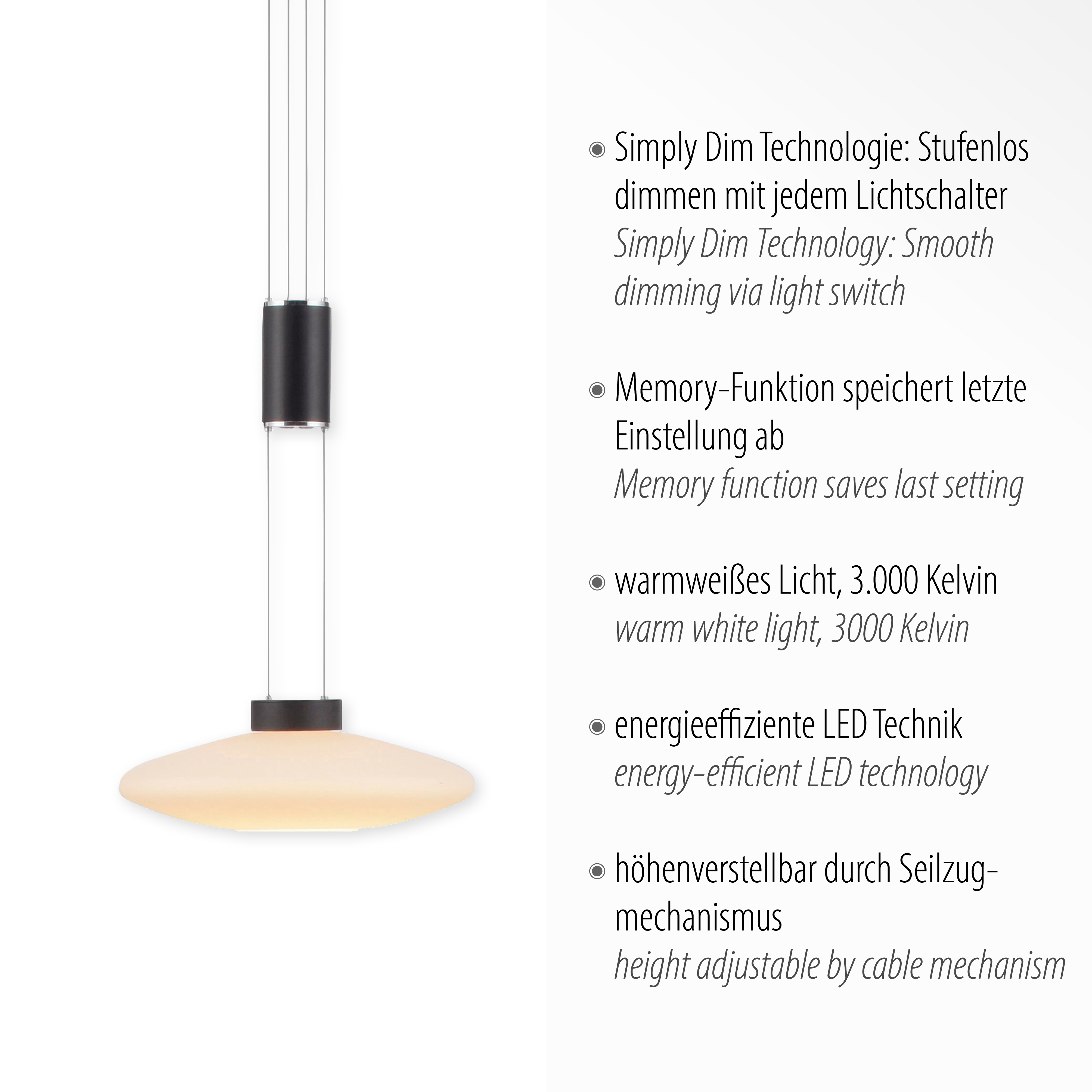 Підвісний світильник Zuma Line 2080-18 LAUTADA купити