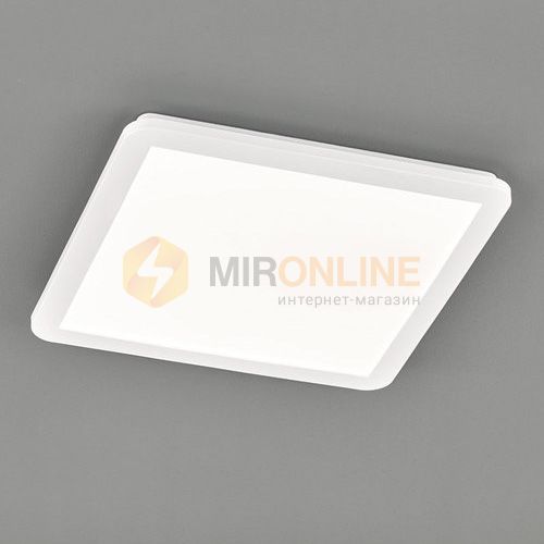 Потолочный светильник REALITY R62932001 Camillus купити