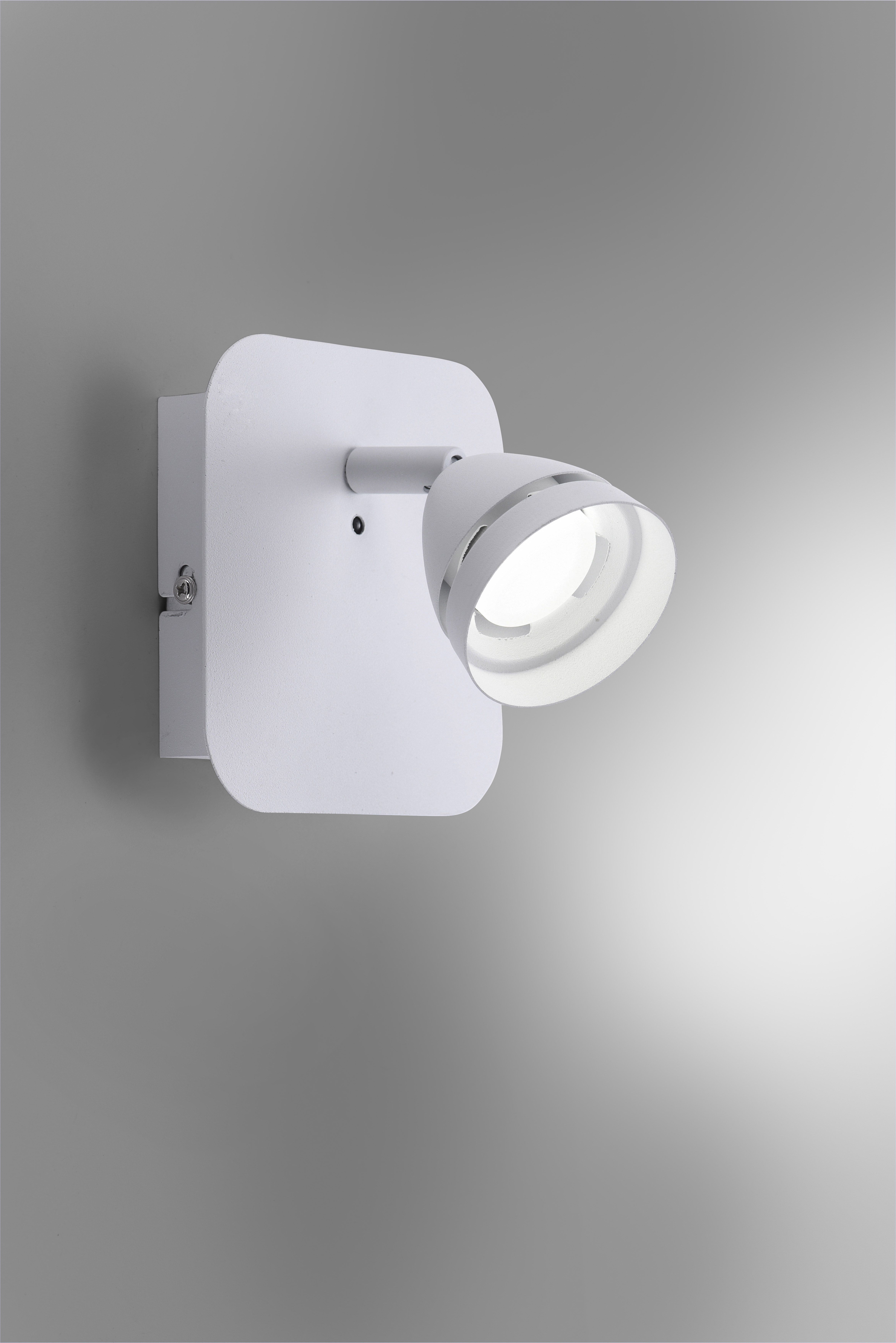 Спот TRIO 850010131 GEMINI купити