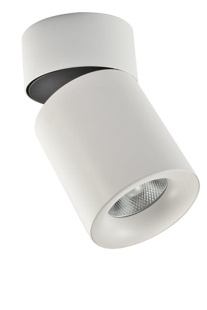 Спот ESL CS0290 купити