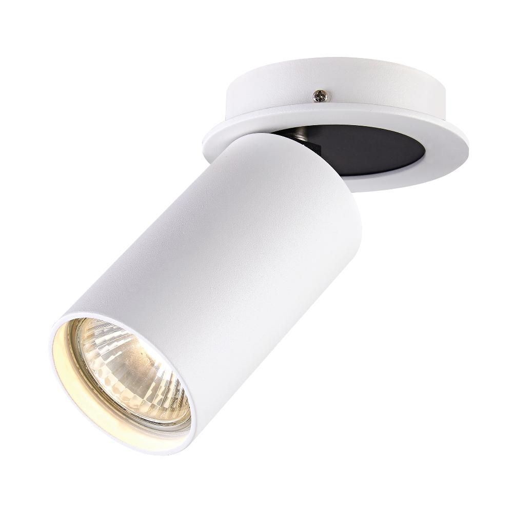 Точковий світильник Zuma Line ACGU10-148 TURY 1 купити