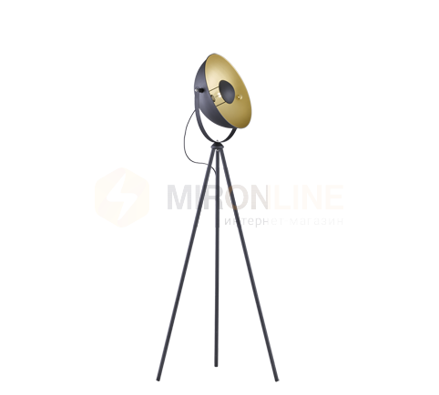 Торшер REALITY R40181032 CHEWY купити