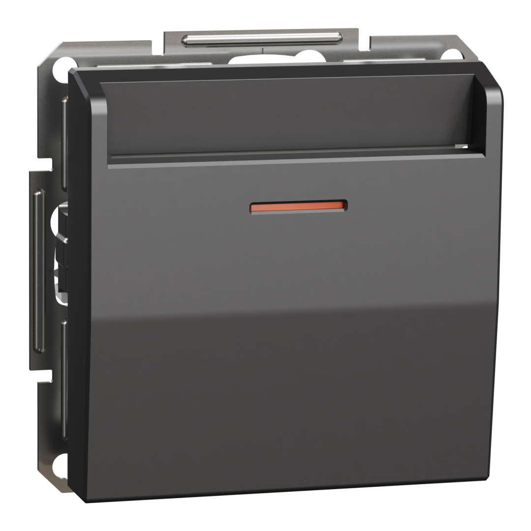 Карточный вимикач, антрацит (EPH6200171) купити