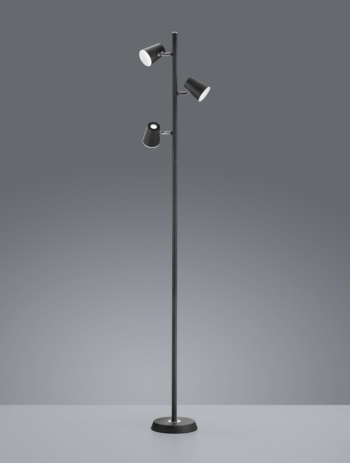 Торшер TRIO 473190332 NARCOS купити