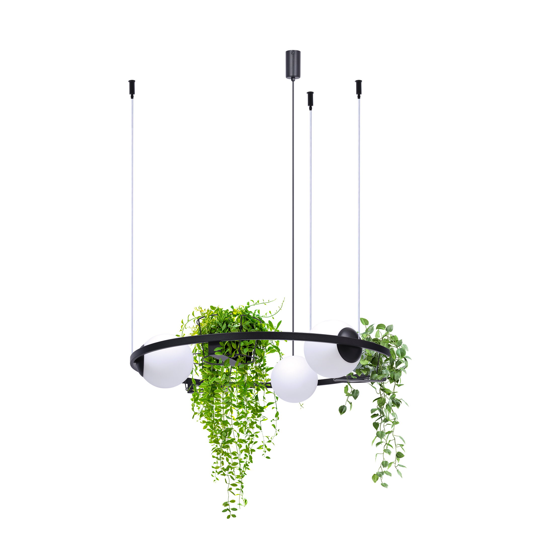 Підвісний світильник Zuma Line 5005 PLANT купити