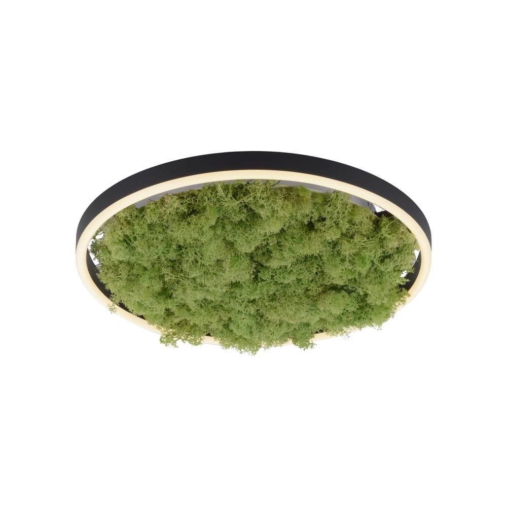 Люстра Zuma Line 15391-66 GREEN RITUS купити