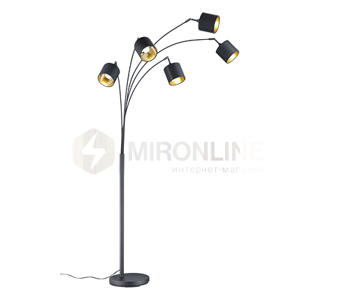 Торшер REALITY R46330579 TOMMY купити