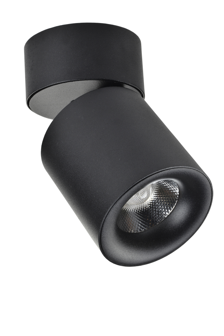 Спот ESL CS0293 купити