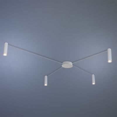 Светильник потолочный ImperiumLight Accent 370420.01.01 купити