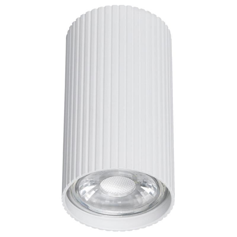 Точковий світильник TK Lighting 10023 білий TUNE (31029) купити