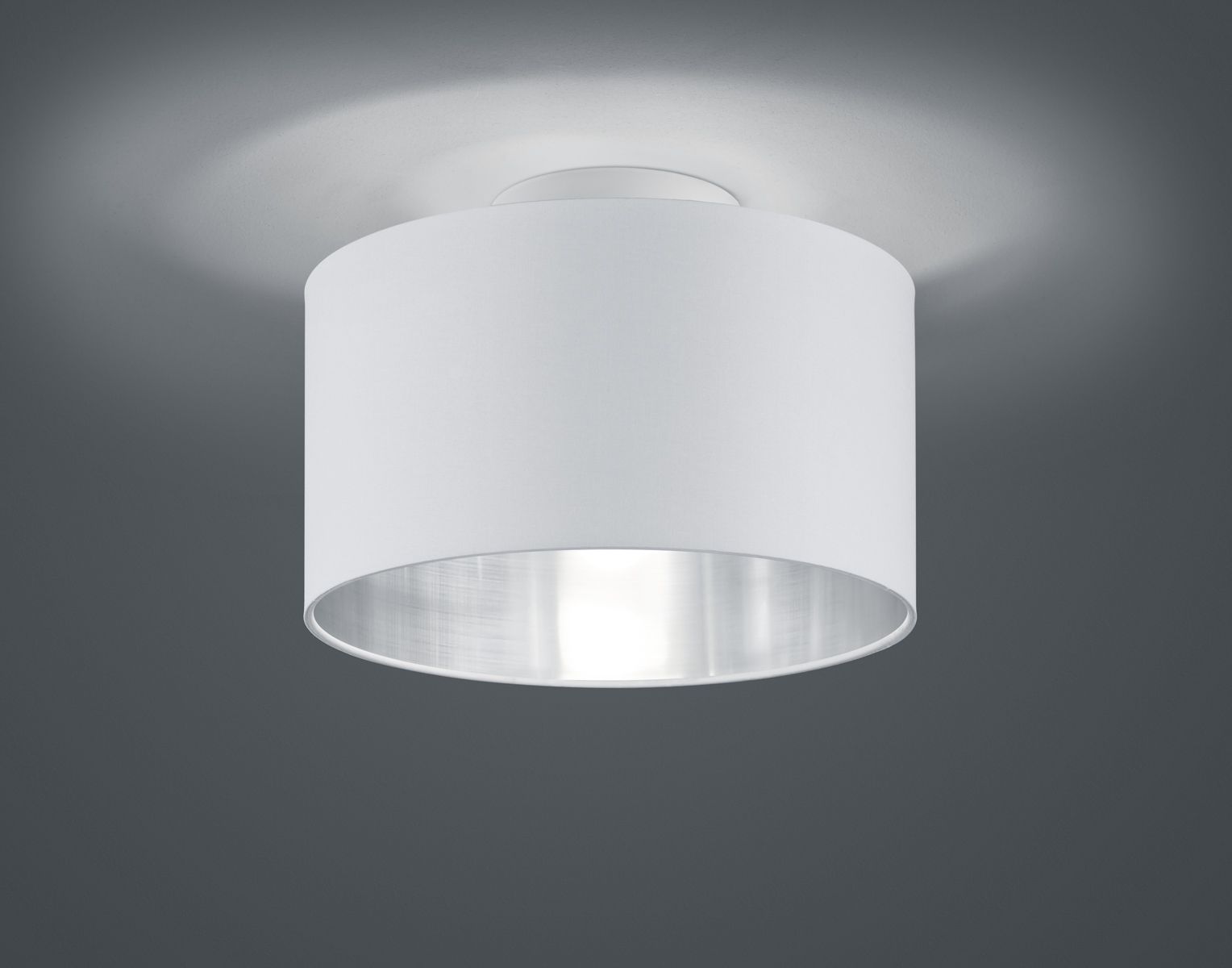 Потолочный светильник TRIO 608200289 HOSTEL купити