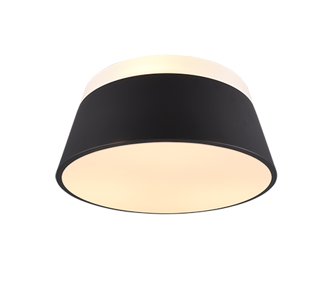 Потолочный светильник TRIO 608900342 BARONESS купити