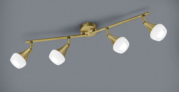 Спот TRIO 803100404 TRUMPET купити