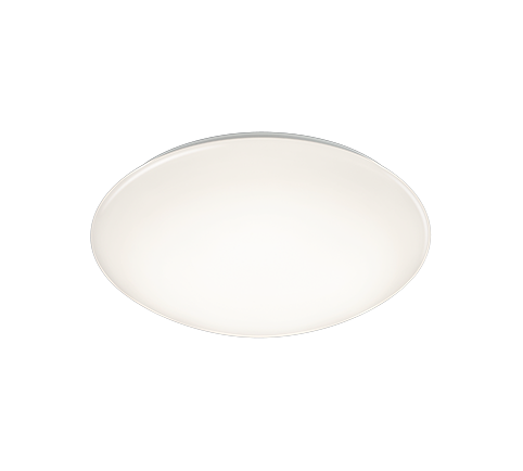 Потолочный светильник REALITY R67831101 POLLUX купити