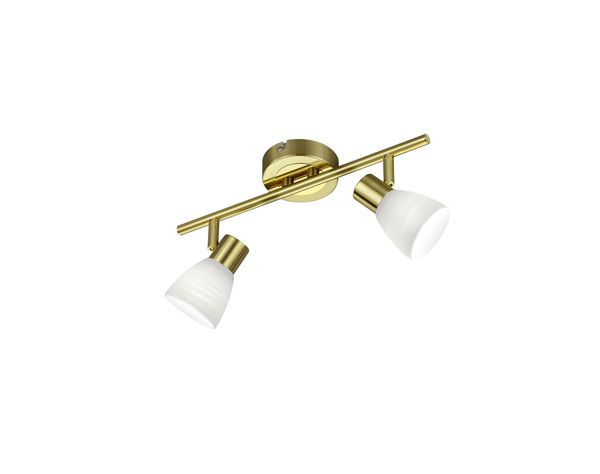 Спот TRIO 871510208 CARICO купити