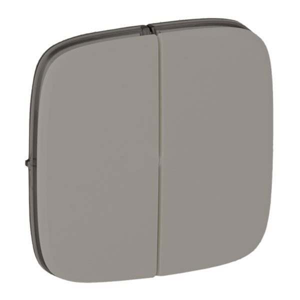 Клавиша выключателя 2-клавишного, алюминий, Valena ALLURE (755027) купити