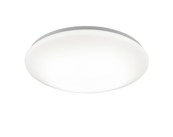 Потолочный светильник TRIO 658312601 CONVERTER купити