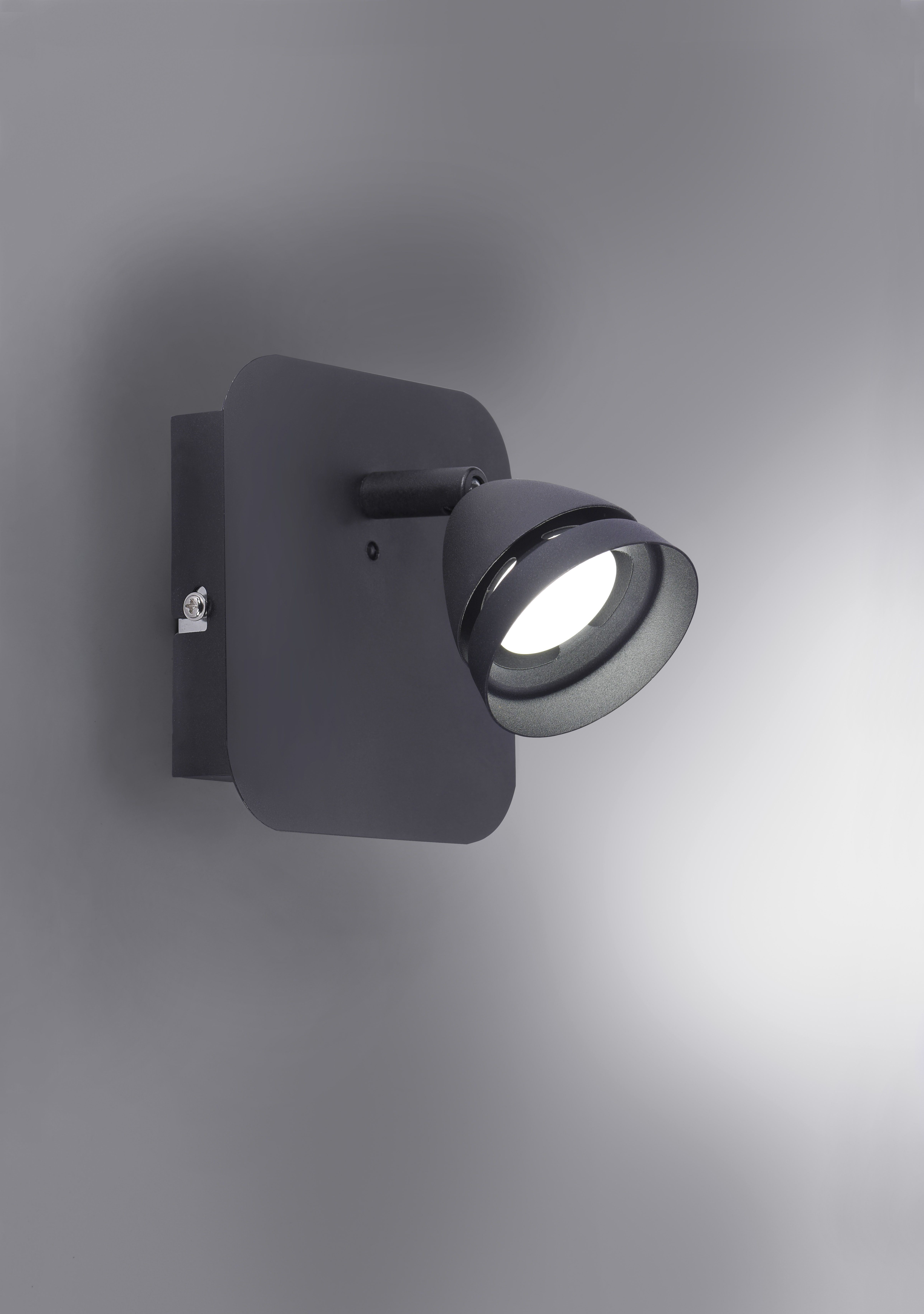 Спот TRIO 850010132 GEMINI купити