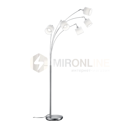 Торшер REALITY R46330501 TOMMY купити