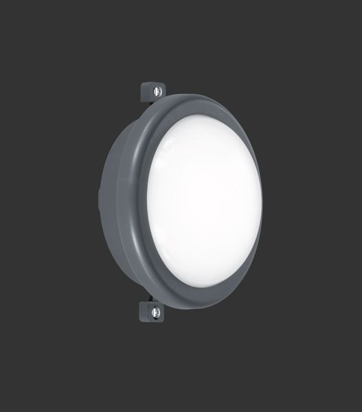 Уличный светильник REALITY R62301142 HAMAL купити