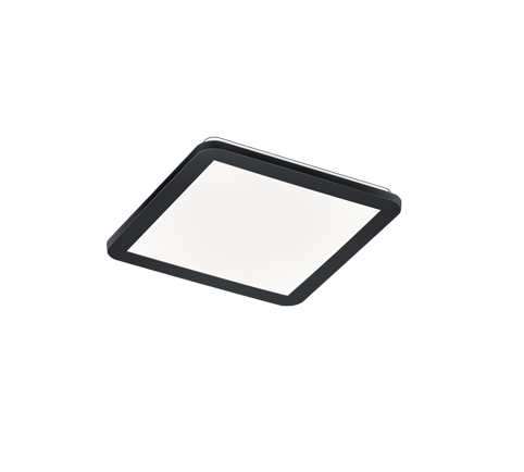 Потолочный светильник REALITY R62931832 CAMILLUS купити