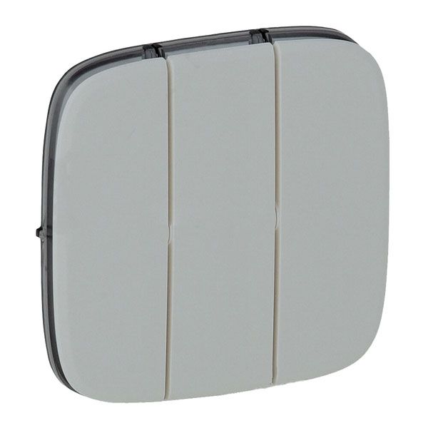 Клавиша выключателя 3-клавишного, алюминий, Valena ALLURE (755037) купити