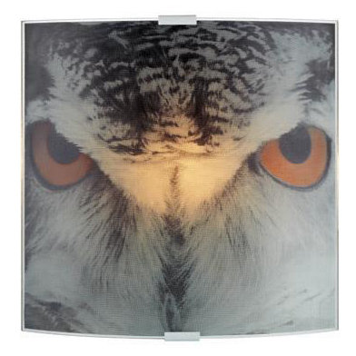 Бра Markslojd Owl 105242 купити