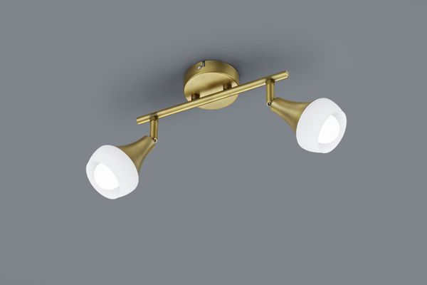 Спот TRIO 803100204 TRUMPET купити